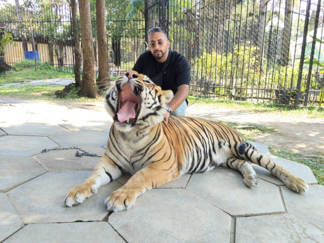 Pattaya one day trip/ 12 hours